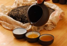 普洱茶文化,普洱茶属于什么茶？