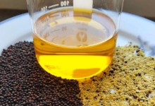 牡丹花籽油的功效与作用及价格？