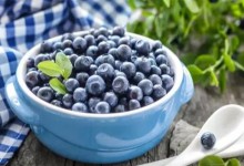 蓝莓怎样剪枝栽培？