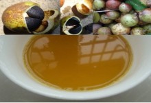 山茶油是山茶籽油吗,茶油和菜籽油怎么区分