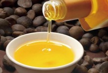 山茶油是山茶籽油吗,山茶油和普通油有什么区别