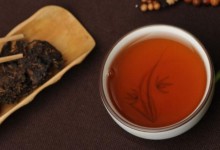 普洱茶是属于什么茶种？