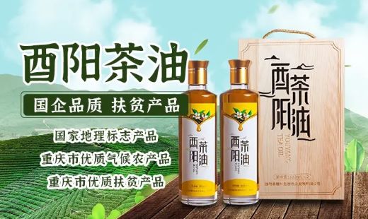 打响重庆油茶品牌！一滴油撬动乡村振兴大产业